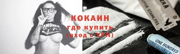 дживик Абинск