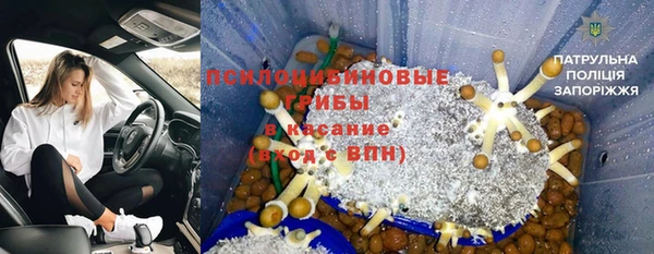 дживик Абинск