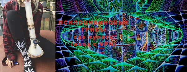 дживик Абинск