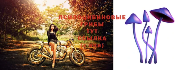 дживик Абинск