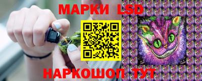 прущие грибы Азнакаево