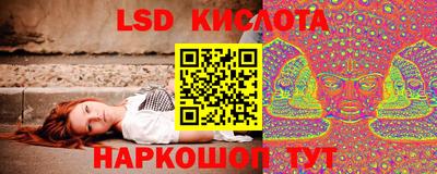 прущие грибы Азнакаево