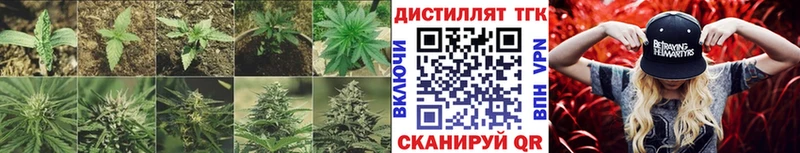 ТГК концентрат  OMG ссылка  Александров 