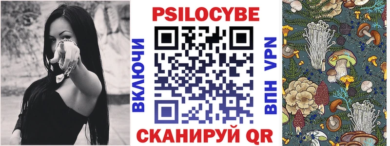 Псилоцибиновые грибы прущие грибы  цены наркотик  Александров 