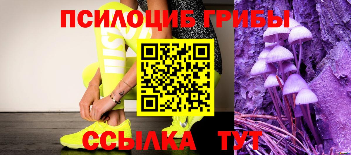Александров  Псилоцибиновые грибы GOLDEN TEACHER  Галлюциногенные грибы Psilocybine cubensis  Вход с VPN 