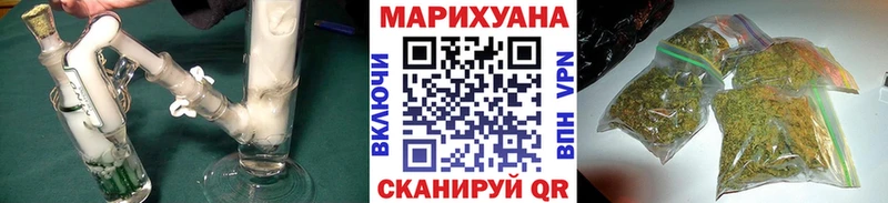 Каннабис OG Kush  Александров 